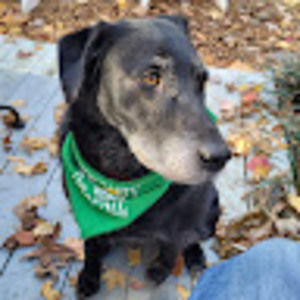 Meet your Posher, Christopher